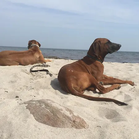 Appartement Strandgut Behrensdorf