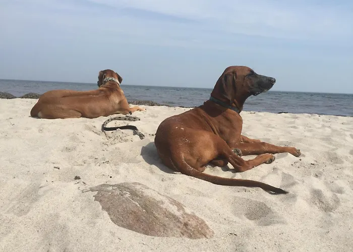 Appartamento Strandgut Behrensdorf